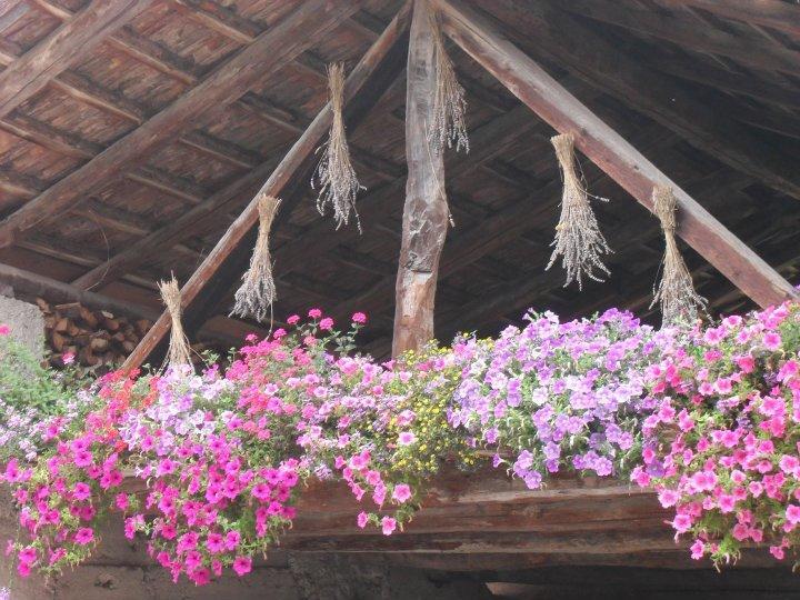 B&B Casa Brunelli Trento Ngoại thất bức ảnh