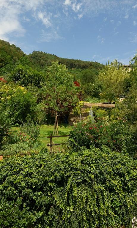 B&B Casa Brunelli Trento Ngoại thất bức ảnh